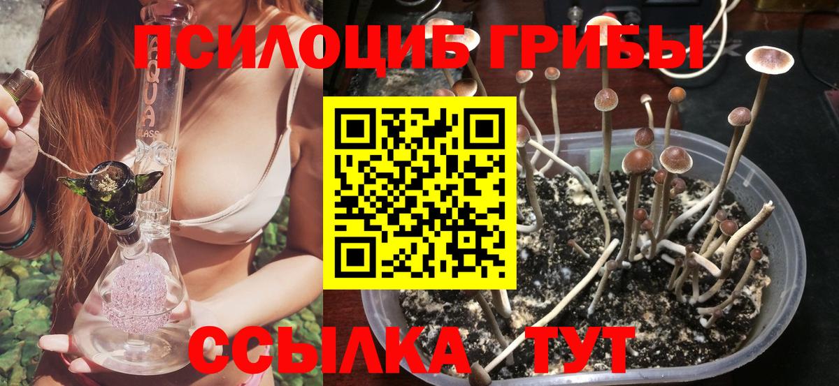 Галлюциногенные грибы мицелий  Вход с VPN  Котельники 