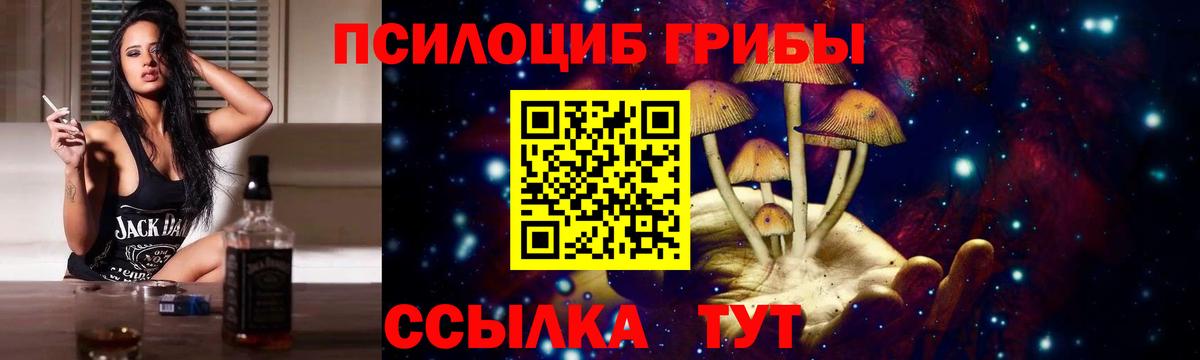 Галлюциногенные грибы Cubensis Котельники